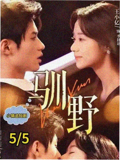 长街灯火影视卡片配图